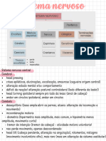 Sistema Nervoso