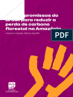 Os Compromissos Do Brasil para Reduzir A Perda de Carbono Orestal Na Amazônia