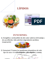 Lipidos