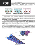 Resumen Cap 9