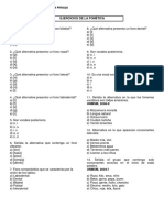 EJERCICIOS FONÉTICA 1ro y 2do 