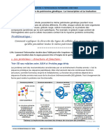 Bilan Chap 4 Lexpression Du Patrimoine Génétique Transcription Et Traduction