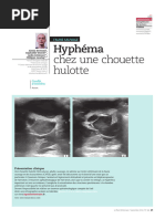 Hyphéma Chez Une Chouette Hulotte