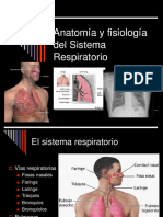 Aparato Respiratorio