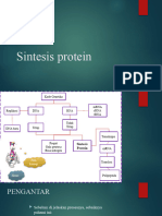 Sintesis Protein