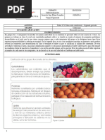 Taller Biologia 11 Segundo Periodo