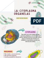 Célula Citoplasma e Organelas