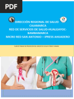 Plan de Trabajo de Prevención Del Cáncer de Cuello Uterino y Mamas (4) - Ahijadero