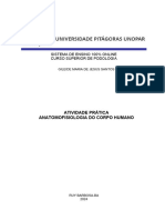 Atividade Pratica Anatomofisiologia Do Corpo Humano