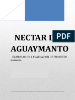 Nectar Del Aguaymanto