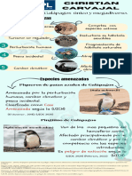 JP - Infografía Biologia de La Conservación - 009