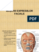 Muchii Expresiilor Faciale