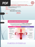 Reproductor Femenino. Anatomia