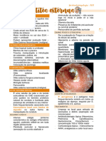 Otorrinolaringologia - Otites Externas