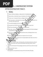 Chapter 1 Respiratory'