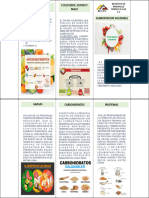 Triptico Alimentacion Saludable