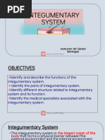 Integumentary System