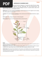 Morphology of Flowering Plants Class 11 Notes CBSE Biology Chapter 5 (PDF)