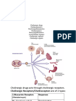 Acetylcholine - Adrenergic