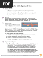 Digestive System TG