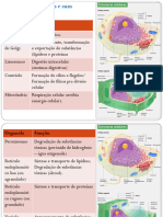 Citologia - Aula 2 e 3 - Organelas e Membrana