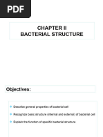 Chapter II Bacterial Structure