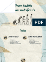 Homo Habilis y Homo Rudolfensis.