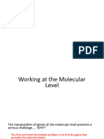 Lec Molecular Cloning