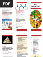 Proteinas Triptico