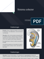 Sistema Colector