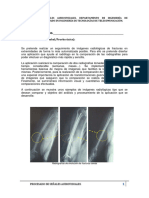 Examen Psa Ordinaria 17v2