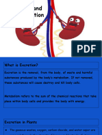 Excretion and Osmoregulation