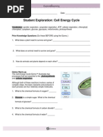 Student Exploration: Cell Energy Cycle