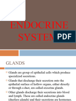 Endocrinesystem Notes