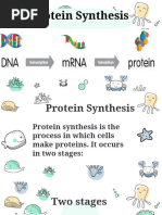 Biochem Report WPS Office