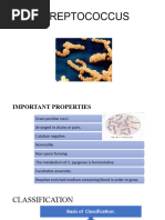 Gram Positive Cocci - STREPTOCOCCUS