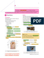 INBDEBooster Endodontics Notes