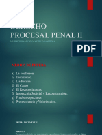 Derecho Procesal Penal Ii: Ms. Erick Hamilton Castillo Saavedra