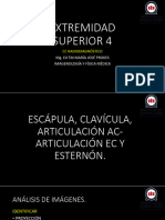 6 Análisis de Imágenes Ee - Ss 4 y Clasificacion FX