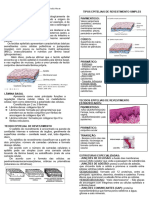 Resumo Tecido Epitelial e Glandular Otavio