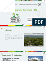 Pulmones Verdes !!!