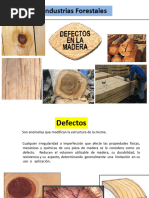 Defectos de La Madera - Capítulo II