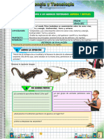 Los Animales Vertebrados. Los Anfibios y Los Reptiles