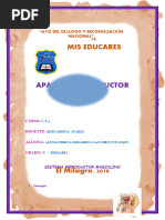 Informe Del Sistema Reproductor Masculino Mis Educares 2017