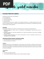 Unidad 5 Aparato Genital Masculinodocx