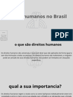 Direitos Humanos No Brasil