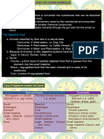 Anatomy and Physiology (Digestive System)