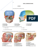 GUÍA 2 Esqueletoaxial 122