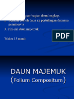 PRAK 2, Daun-Majemuk