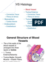 CVS Histology